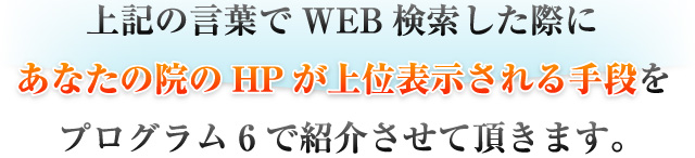 上記の言葉でWEB検索した際にあなたの院のHPが上位表示される手段をプログラム6で紹介させて頂きます。