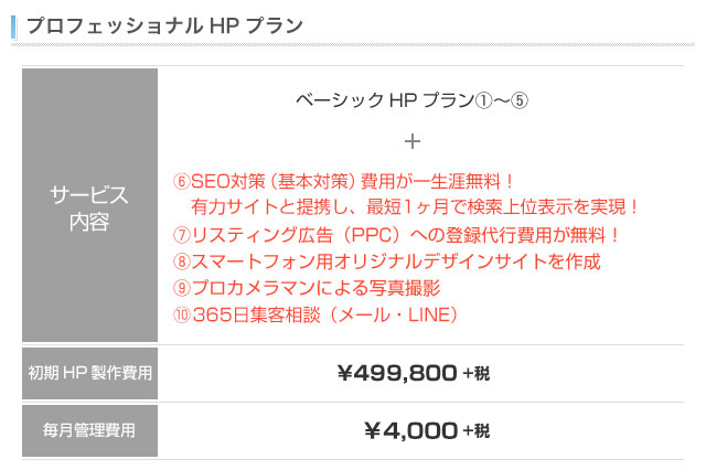 プロフェッショナルプラン